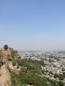IMG_4875