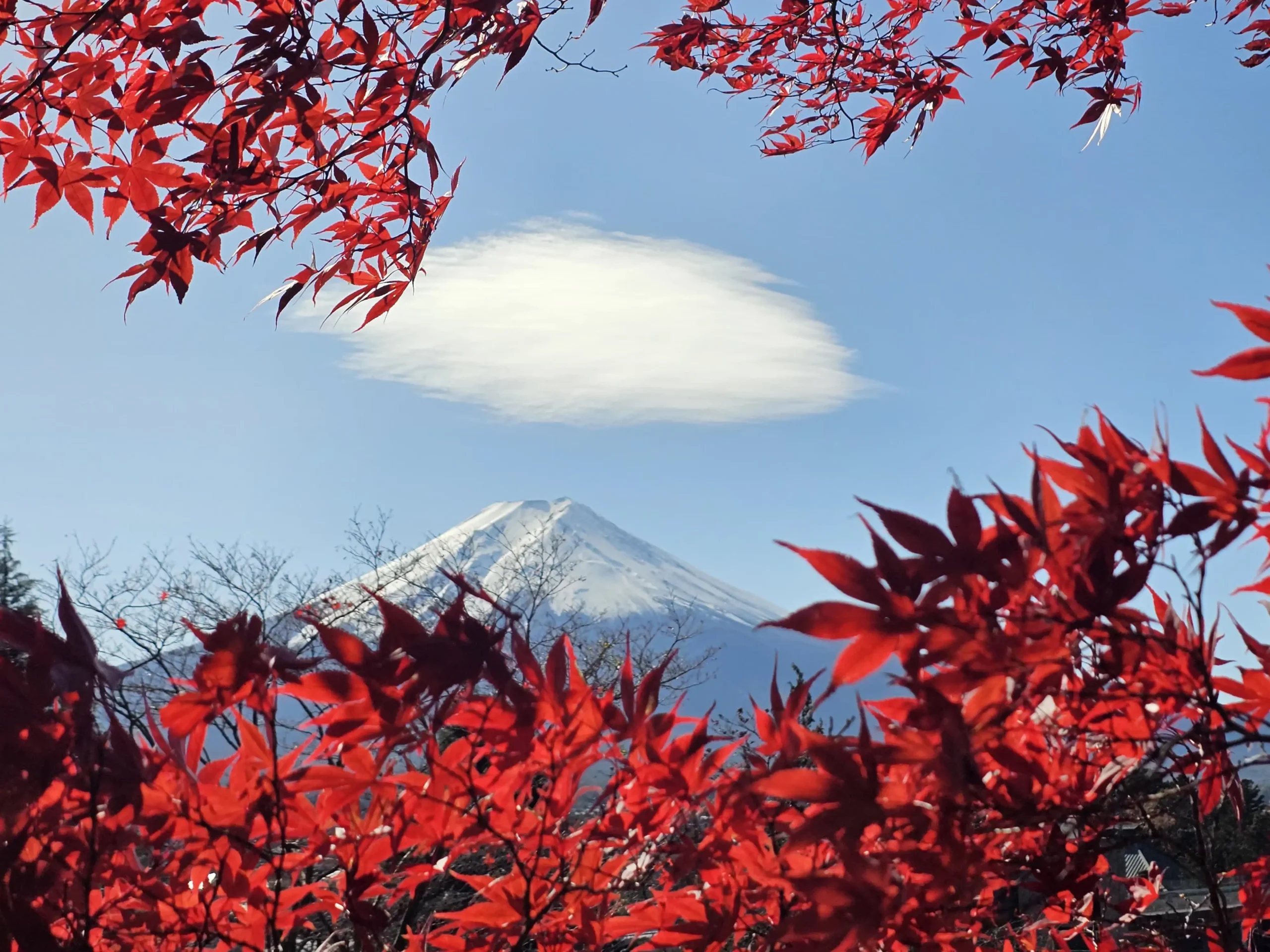 Japan2025