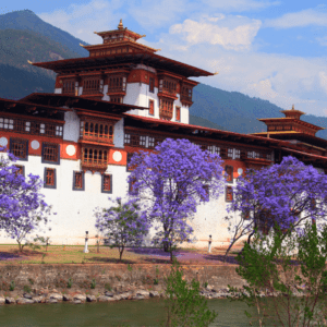 Women’s Travel Group Tours to Bhutan