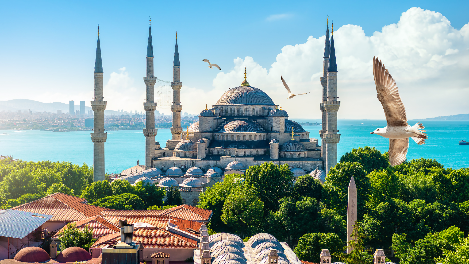 Women only travel groups