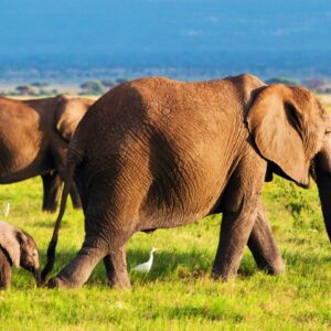 women travel groups to Kenya