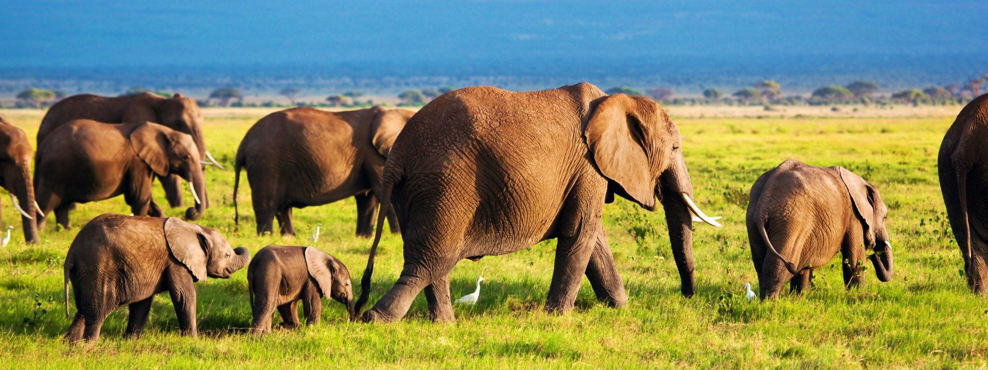 women travel groups to Kenya
