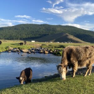 Women’s Group Holidays to Mongolia