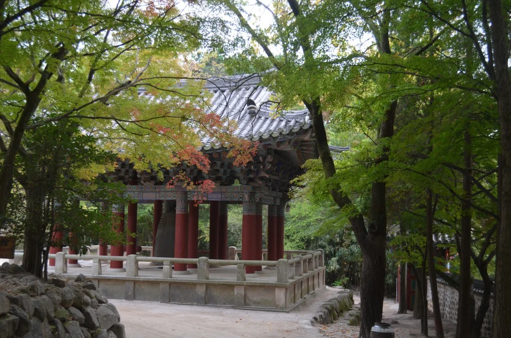 Women only tours South Korea