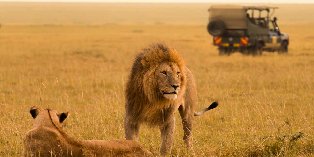 Kenya: Close Encounters of the Wild Kind