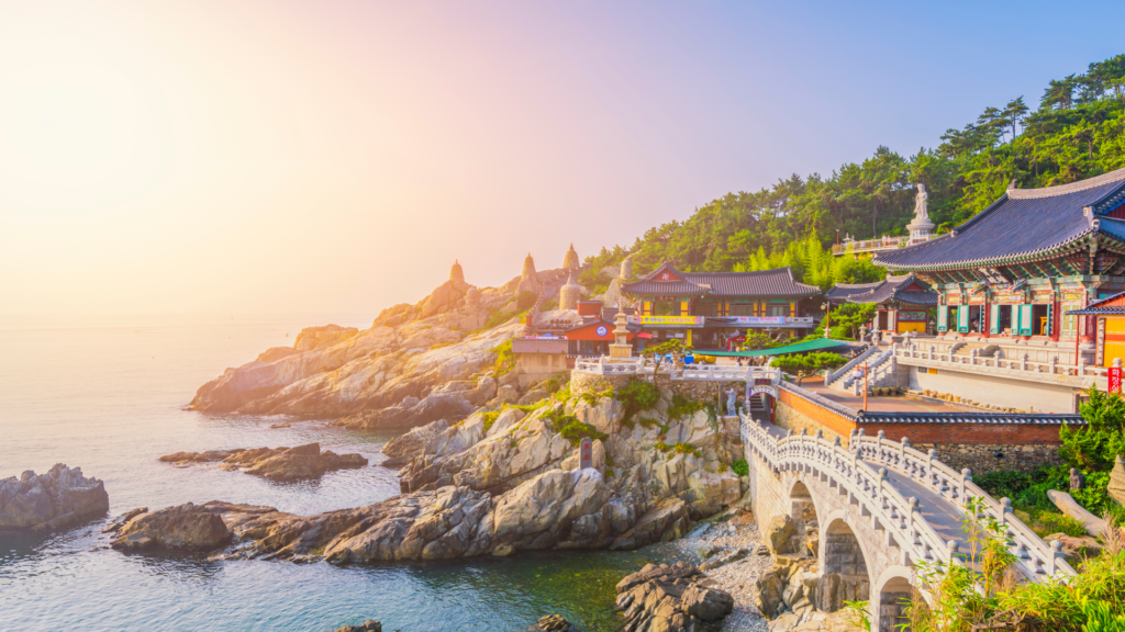 The Blossom Road: South Korea